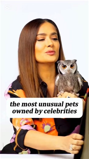 the most unusual pets owned by celebs #celebritynews #celebrity #facts #fyp #movie #yt #hollywood