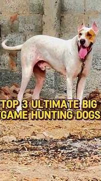 Top 3 Ultimate Big Game Hunting Dogs #short #dog