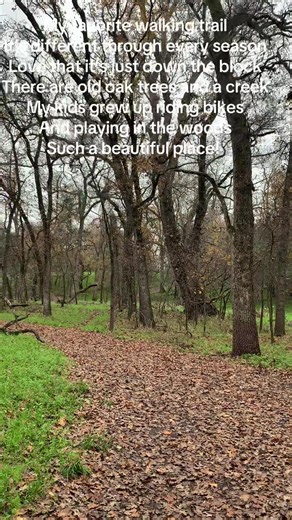 Explore the Beauty of My Favorite Walking Trail