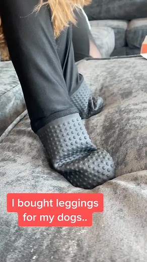 Dogs Trying on Leggings - Hilarious Sibling Check!