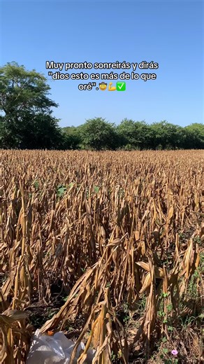 Discover Agriculture Innovations in Nicaragua