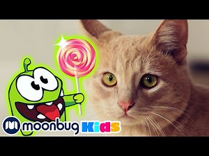 Om Nom Stories - Om Nom and Cat | 옴놈 시즌 1 모아보기 | 옴놈과 고양이+ | 인기동화 | 어린이 만화 | 문복키즈 | Moonbug Kids 인기만화