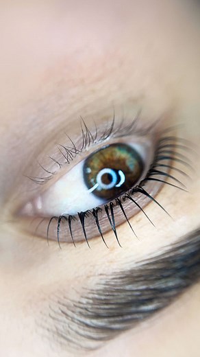 Alba Re;Set System for Long-Lasting Korean Lash Lifts