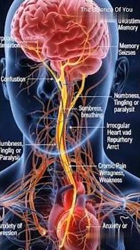The Horrifying Effects of Electric Shock on the Nervous System