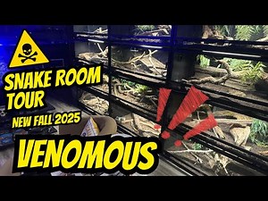 SNAKE ROOM TOUR MAJOR UPDATES! Sept 2025. BIG IMPROVEMENTS with Reef tank and prehistoric fish!