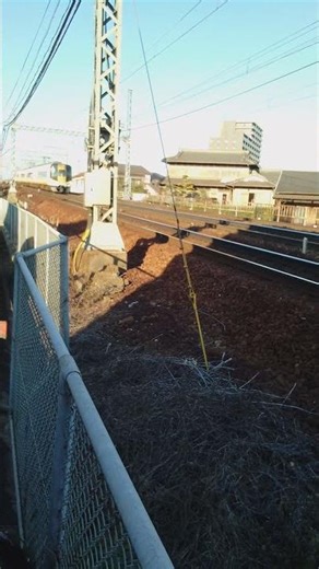 それぞれの車両の白い部分に 太陽の日差しが 当たりすぎ たかね？( 2025年12月29日の近鉄名古屋線 富田)