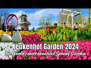 🌷 KEUKENHOF GARDEN 2024 - The World’s Most Beautiful Spring Garden of 7 Million Flowers Guided Tour
