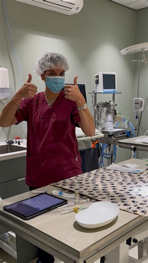 A glimpse of our week. Consults, cuddles, surgery prep, recovery checks… Have a happy sunday! 💚 #dierenkliniekdepijp #dierenkliniek #vetclinic #paraveterinair #behindthescenes #greenclinic | Dierenkliniek de Pijp