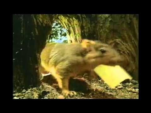 Post It Notes 2011 TV Commercial HD