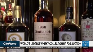 2.2K views | The list of the top 10 most popular books at the Toronto Public Library has been released. As Richard Southern and Faiza Amin share, the list was dominated by women. | CityNews Toronto | Facebook