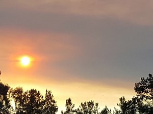 Wildfire Smoke Fills MD Air: Code Red Alert Issued