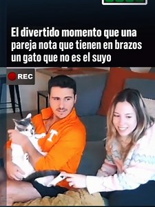 Videos graciosos de gatunos y recuerdos — compilación viral