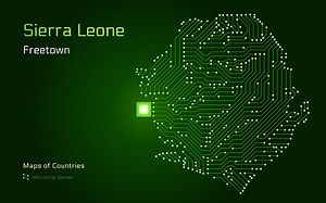 E-government. World Countries vector maps. Microchip Series