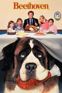 Beethoven: Beethoven: Official Clip - Where's My Dog?