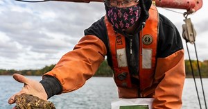 SOAR: Supporting Oyster Aquaculture and Restoration