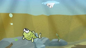 Nature Cat - Fishy Clues! Video | PBS KIDS