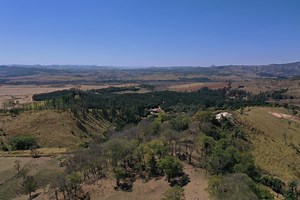 Macadamia Farm Brazil: in Itapira, Sao Paulo state