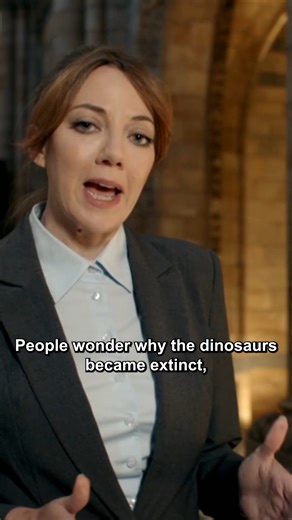 Cunk on Dinosaurs | Philomena Cunk Fans