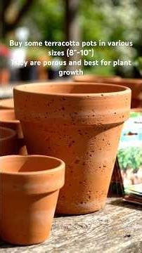 HOW TO BEGIN GARDENING - Basic tips for beginner’s 🪴