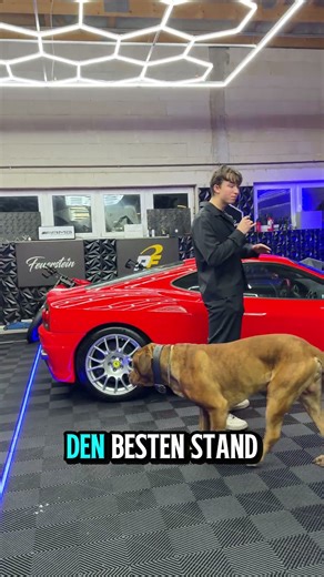 Ferrari 360 CS - Supersportler mit Potenzial #Ferrari #360CS #360