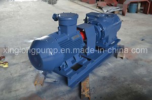 [Hot Item] Marine Twin Screw Pump/Unloading Pump/ Multiphase Screw Pump