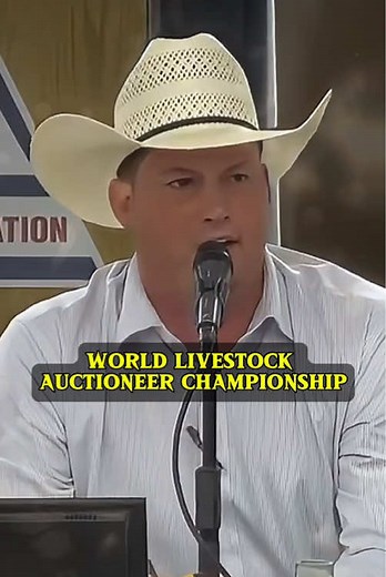 Cattle Auction Highlights and Fast-Talking Auctioneer