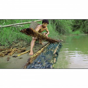 swivel in the wild , Fishing in palm trees | Quant-Amber TH