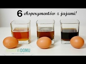 Eksperymenty z jajami idealne dla dzieci #mamawdomu