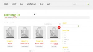 CherryFramework 3. How to solve issue with category title (Shop Beginners kit) - Template Monster Help
