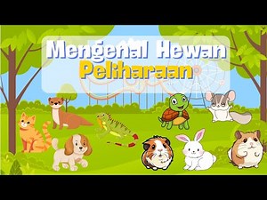 Mengenal Hewan Peliharaan | Yuk Belajar Mengenal Hewan Peliharaan