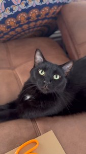 25K views · 29K reactions | Baba answers fan questions: part 77! ‍⬛...