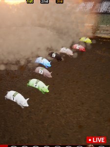💥DEADLY PIG RACE 27!🐷#unrealengine #physics #pigracing #funnygaming #gaming
