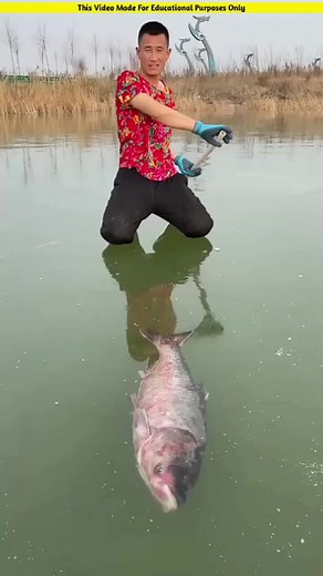 372K views · 903 reactions | The fish was really alive #facts #shorts #amazingfacts #factsdaily #rochaktathya #gajabtathya | 4Facts | Facebook