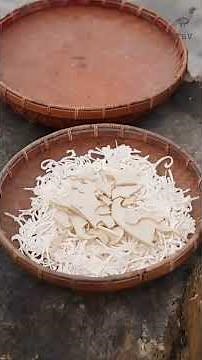 Traditional Chinese Bone and Wood Inlay Art