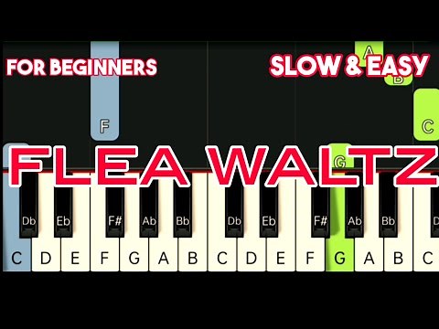 FLEA WALTS ( FLOHWALZER ) | SLOW & EASY PIANO TUTORIAL