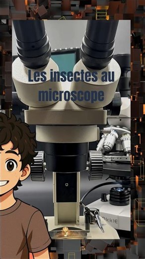 les fourmis au microscope #microscope #ants #mycologie
