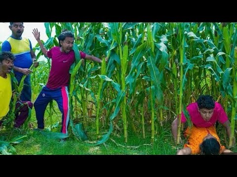 The Top 199 Best Funniest Videos Of The Year//If You Laugh You Fail