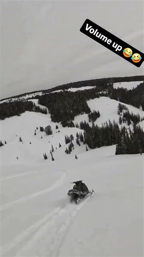 This Sled Gets It 😂