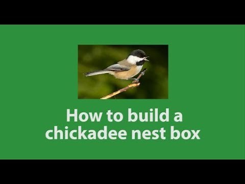 How to build a chickadee nest box