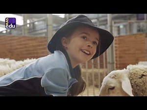 Transform your classroom into a farm at Farm Days!