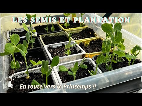 Sowing and Planting: On the Road to Spring