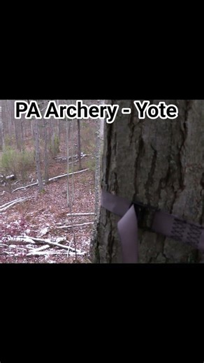 PA Archery Hunting. Coyote Close