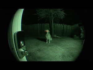 APPALACHIAN SKINWALKER DOG