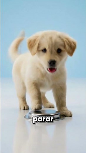 Why This Puppy Won't Stop Pressing The Button #psychology #experiment