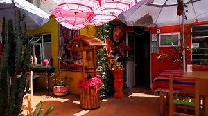 2.2K views · 53 reactions | Ahora esta más lindo, entra mucha luz Nuestros horarios: Martes a domingo de 10 am a 7 pm Ubicación :Paseo tollocan casi esq con avenida tecnológico a un costado del Crowne Plaza Lancaster en dirección de Toluca a México | Mexico Lindo Y Que Loco | Facebook