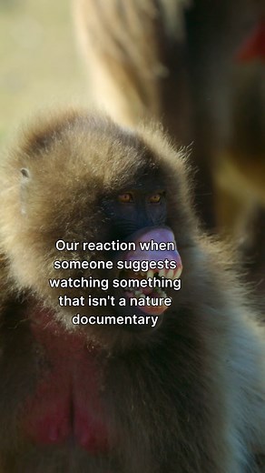 Protecting the Remote: A Fun NatGeoQueens Moment