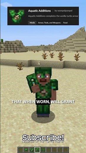 What If Minecraft Had An Upgraded Set Of Turtle Armor?!