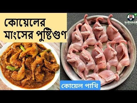 কোয়েলের মাংসের পুষ্টিগুণ ও অবিশ্বাস্য স্বাস্থ্য উপকারিতা,Quail Meat Health Benefits,BD Health Tips