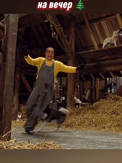 Фильм: Снежные псы (2002) Movie: Snow Dogs (2002) Жанр: комедия, семейные, приключения #комедия ​ #фильмы ​ #фильм ​ #кино ​ #фантастика ​ #лучшиефильмы ​ #момент ​ #моментыизфильмов ​ #чтопосмотреть ​ #фильмнавечер ​ #movie ​ #movieshorts ​ #bestmovies ​ #edit ​ #новогодниефильмы ​