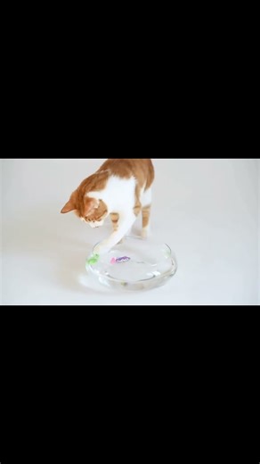Turn Bored Cats Into Hunters with This Interactive Fish